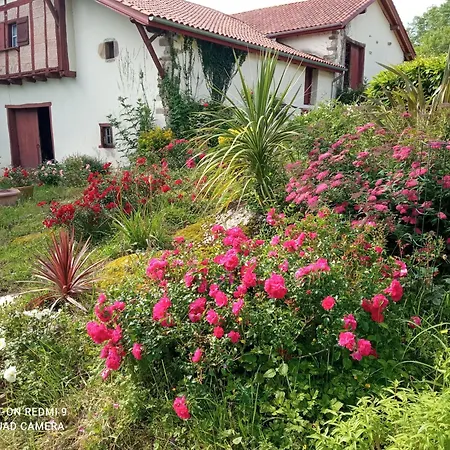 Vaste Bergerie Au Coeur Du Pays Basque Ferienhaus Saint-Just-Ibarre